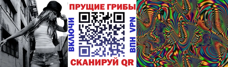 закладки Малоархангельск Псилоцибиновые грибы мицелий